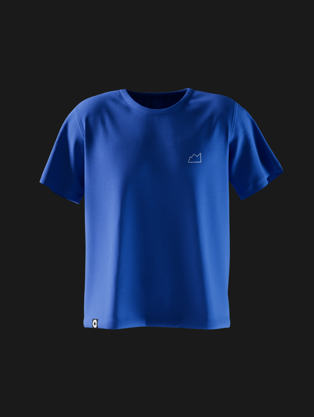 Wall of Worry Climbing Gym T