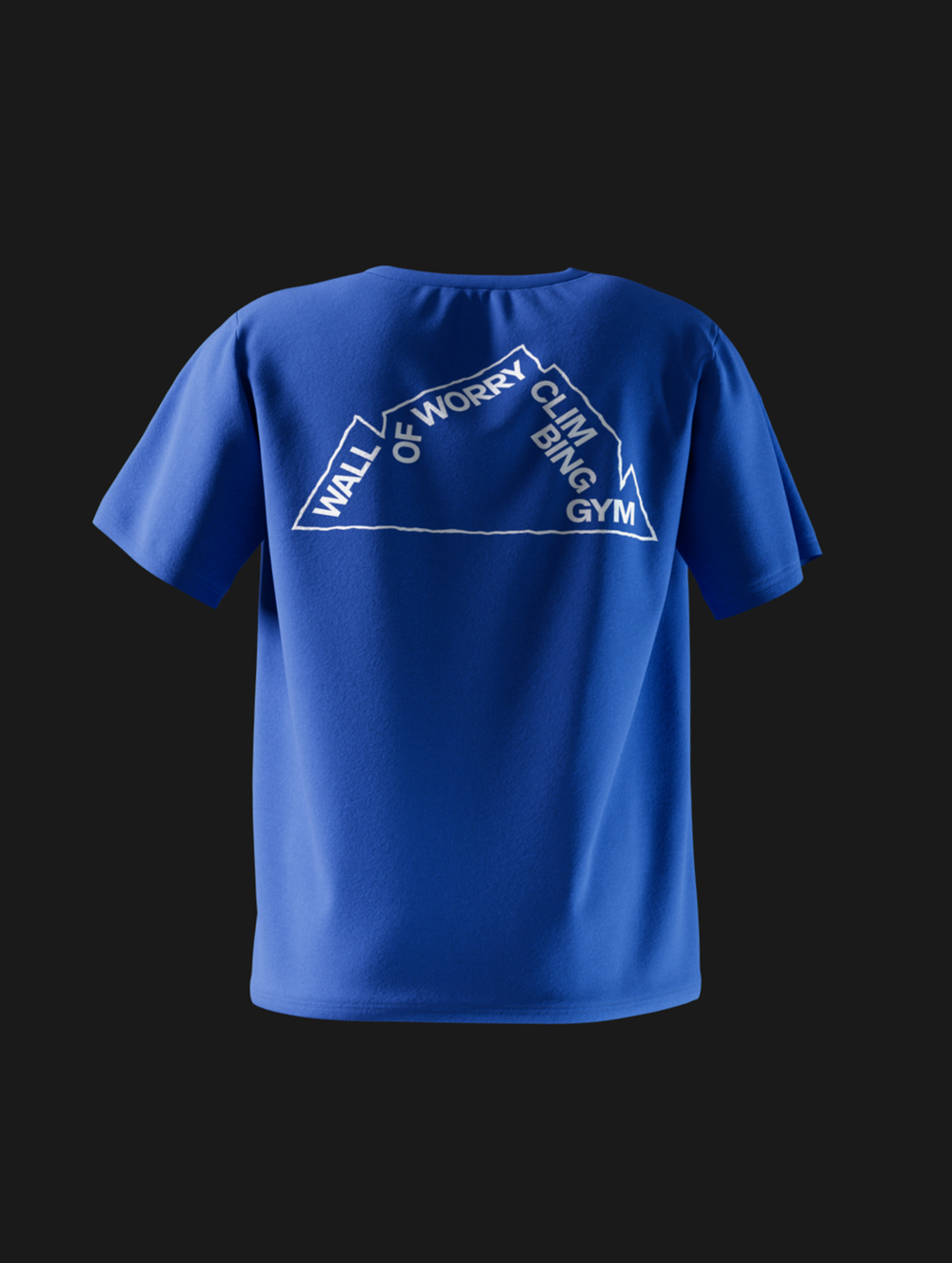 Wall of Worry Climbing Gym T